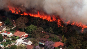Bushfires Mandurah